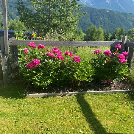 Trinker シュラートミンク